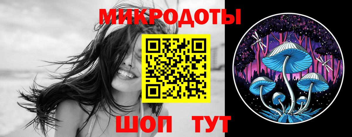 Галлюциногенные грибы прущие грибы  Вход с VPN  Галлюциногенные грибы Psilocybe  Сургут 